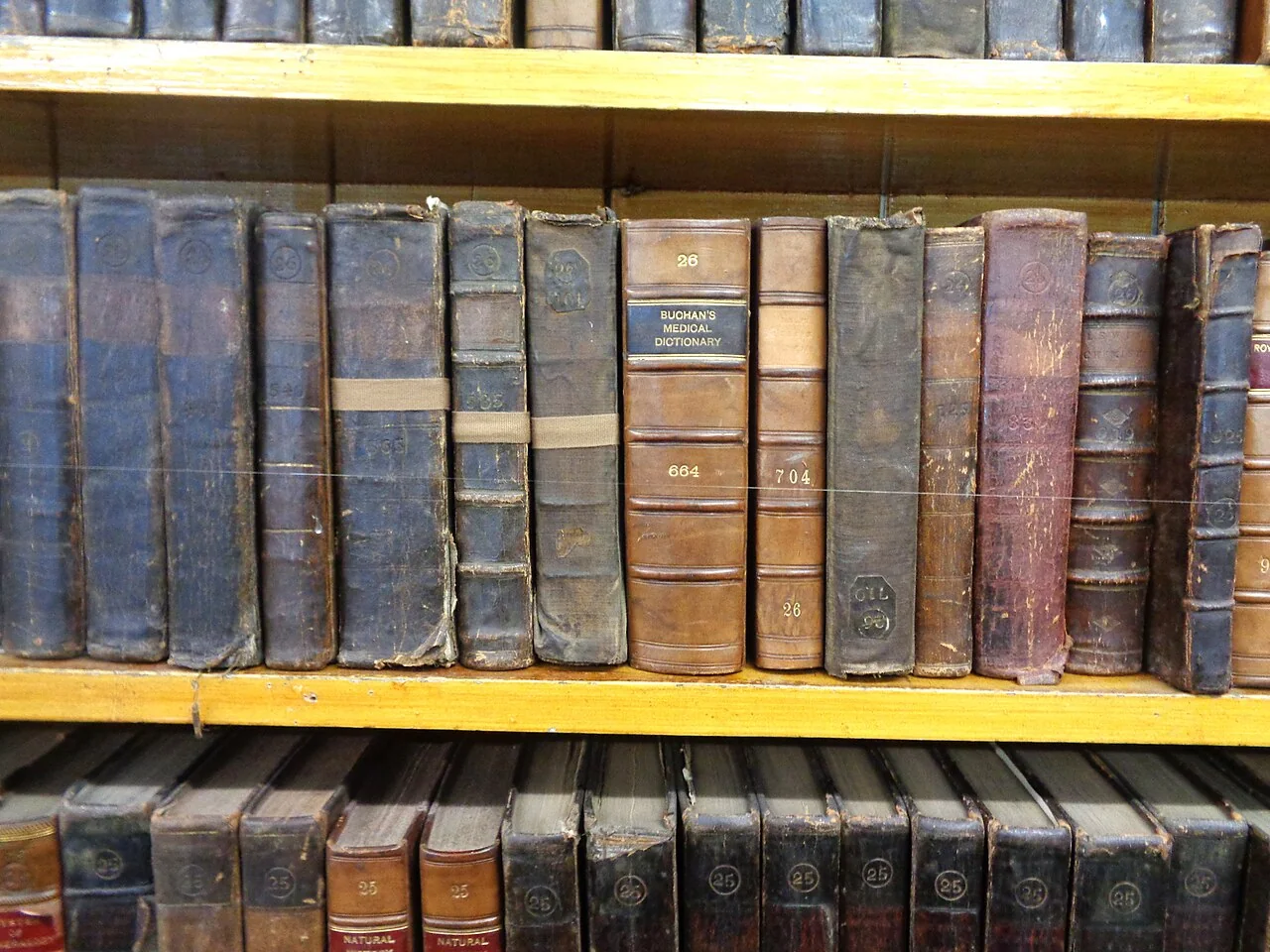 كتب في مكتبة ليدهيلز باسكتلندا؛ صورة تعبيرية للمكتبات وليست من سن الفيل.