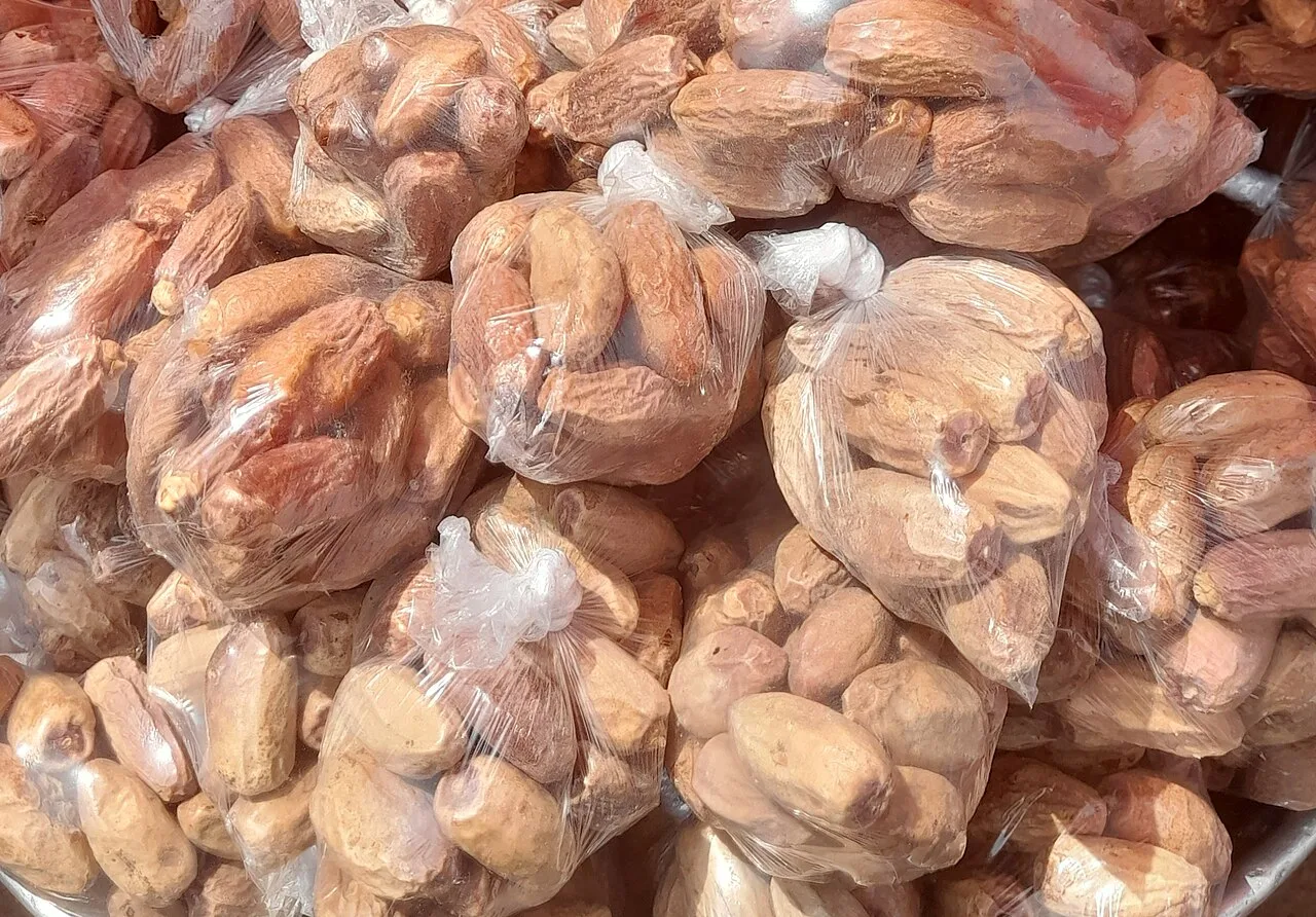 ثمار تمر؛ صورة توضيحية وليست من المهرجان الحالي.